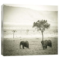 Slike, slonovi Savannah, 20x16, ukrasna zidna umjetnost platna