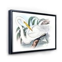 Drevne australske ptice IV uokvirene slikarske platnene umjetnički tisak