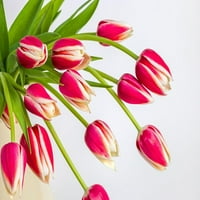 Buket crvenih tulipana Assafa Franka