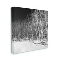 Stupell Industries Tajanstvena snježna šuma Napuštena noćna breza stabala galerija fotografija omotana platna