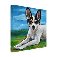 Robert Phelps Art 'Rat Terrier' Canvas Art