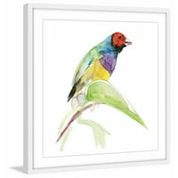 Marmont Hill Tropska ptica od Michelle Dujardin uokvirena slikarski tisak